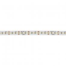 Dainolite SDLT-14430 - SDLT-14430