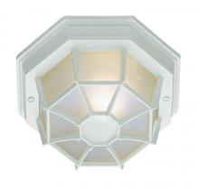 Trans Globe 40582 WH - Benkert 1-Light, Weblike Design, Enclosed Flush Mount Ceiling Lantern Light