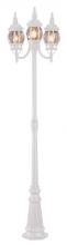 Trans Globe 4090 WH - 3LT POLE-OUTD-FRENCH LANTERN-C