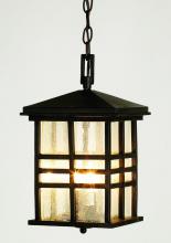 Trans Globe 4638 WB - Huntington 2-Light Craftsman Inspired Seeded Glass Outdoor Hanging Pendant