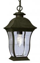 Trans Globe 4974 WB - 1LT HANGING-OUTD-BEVELED CLEAR