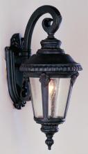 Trans Globe 5043 SWI - Commons 19" Wall Lantern