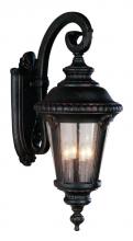 Trans Globe 5045 SWI - Commons 29" Wall Lantern