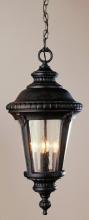 Trans Globe 5049 RT - Commons 17" Hanging Lantern