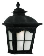 Trans Globe 5429-1 BK - Briarwood Traditional, Water Glass and Metal, Outdoor Pocket Wall Lantern Light
