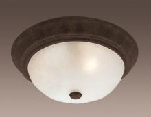 Trans Globe 58800 ROB - 2LT FLUSH-SML-LEAF FROST GLASS