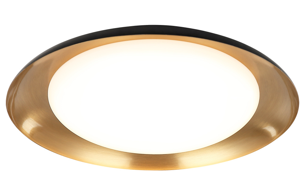 Lalonde Black Ceiling Mount