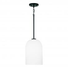 Capital Canada 348811MB - 1-Light Pendant