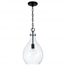 Capital Canada 349011MB - 1 Light Pendant