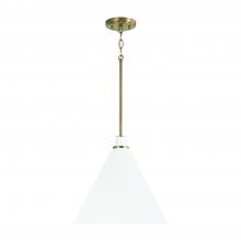 Capital Canada 350112AW - 1-Light Pendant