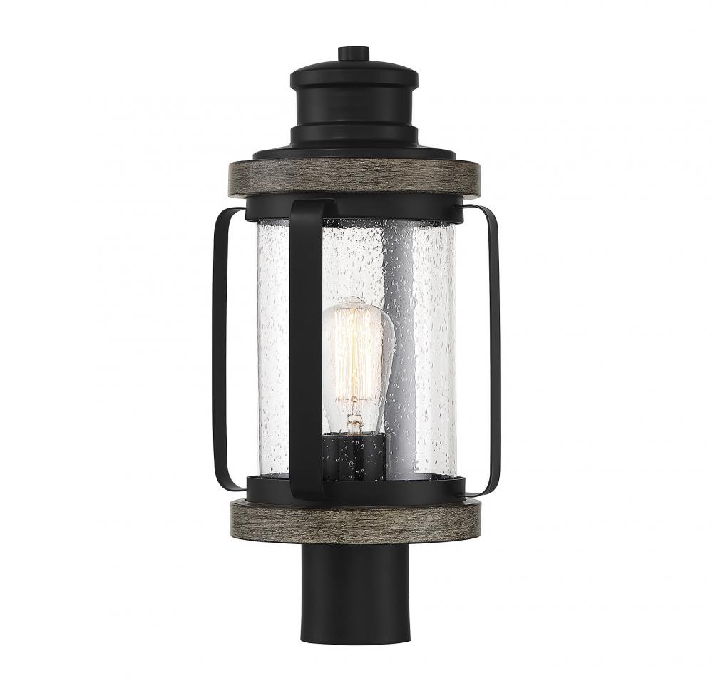 Parker 1-Light Outdoor Post Lantern in Lodge