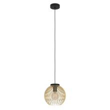 Eglo Canada 900166A - 1 LT Mini Pendant w/ Black Finish & Matte Gold Metal Shade