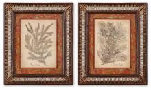 BORDERED FERNS  I